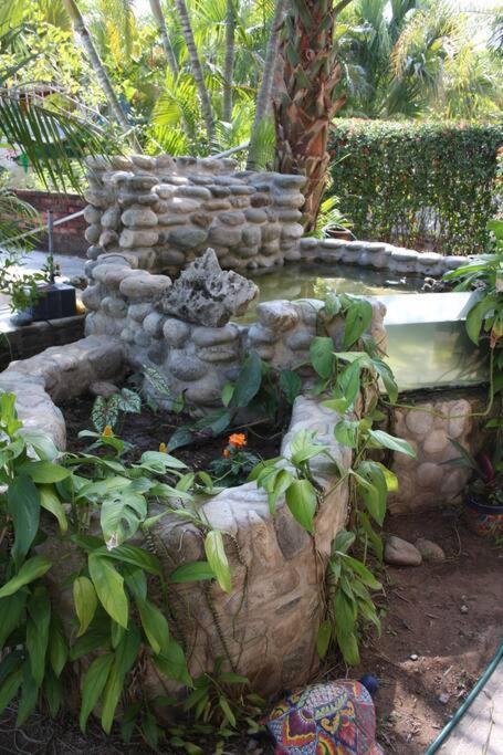 Lush Garden House Near Beaches With Private Pool. Puerto Escondido  Buitenkant foto